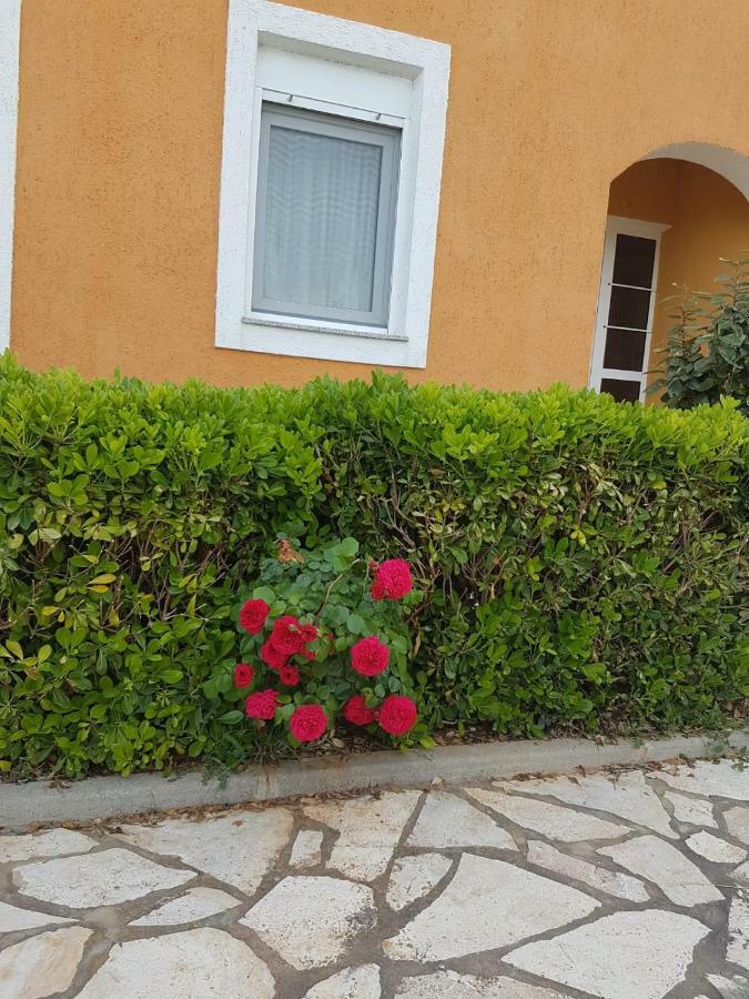 Apartmani Anna Vir Exterior photo